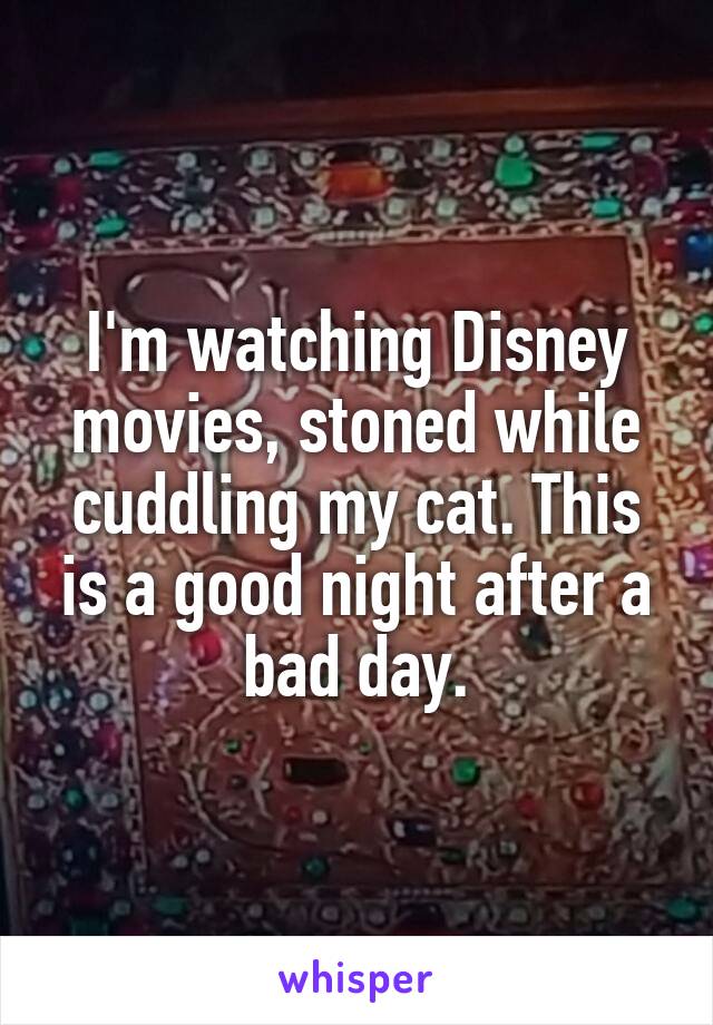I'm watching Disney movies, stoned while cuddling my cat. This is a good night after a bad day.