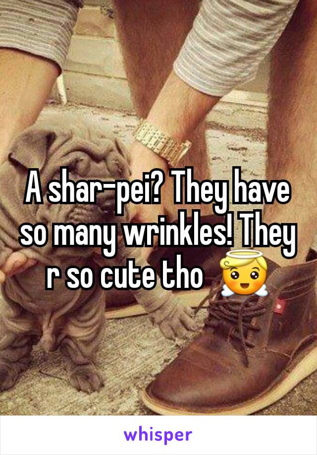 A shar-pei? They have so many wrinkles! They r so cute tho  😇