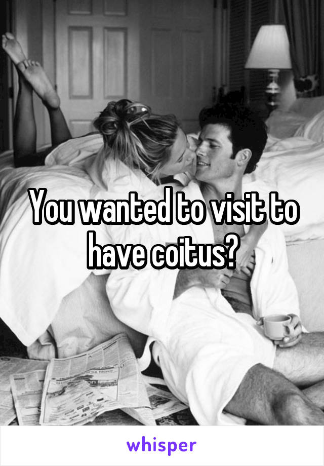 You wanted to visit to have coitus?