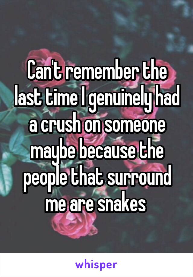 Can't remember the last time I genuinely had a crush on someone maybe because the people that surround me are snakes 