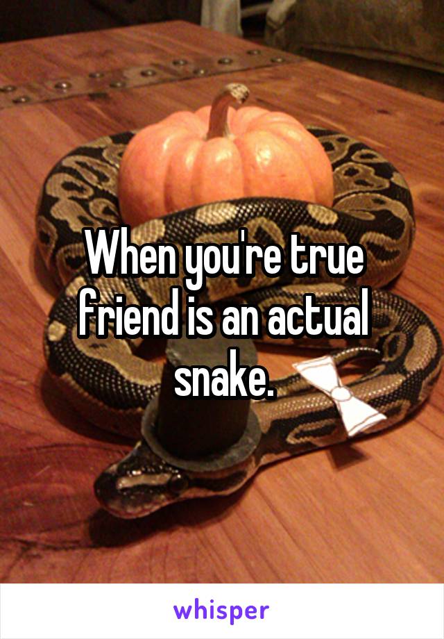 When you're true friend is an actual snake.