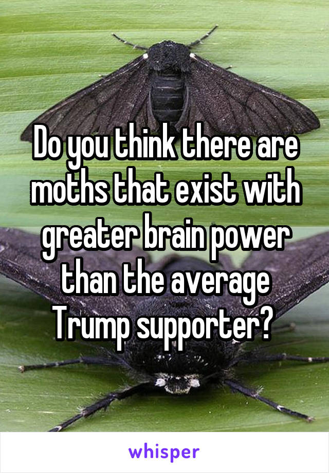 Do you think there are moths that exist with greater brain power than the average Trump supporter? 