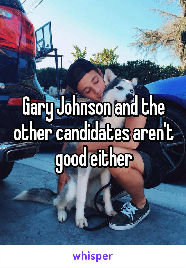 Gary Johnson and the other candidates aren't good either
