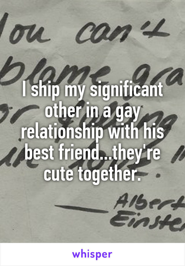 I ship my significant other in a gay relationship with his best friend...they're cute together.