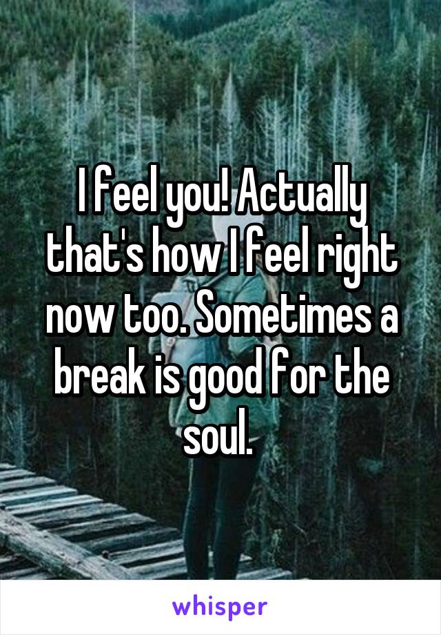 I feel you! Actually that's how I feel right now too. Sometimes a break is good for the soul. 
