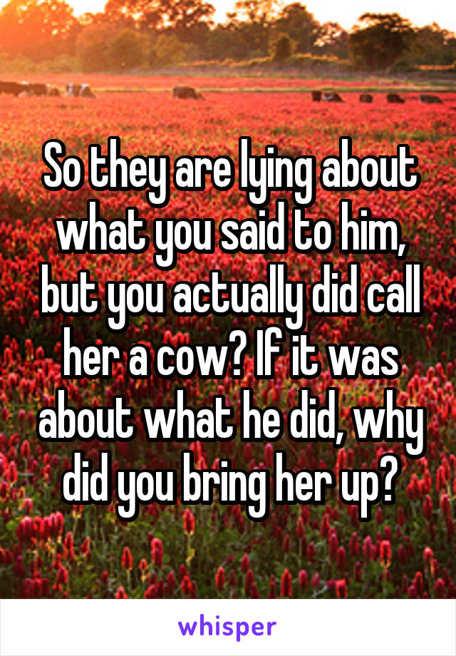 So they are lying about what you said to him, but you actually did call her a cow? If it was about what he did, why did you bring her up?