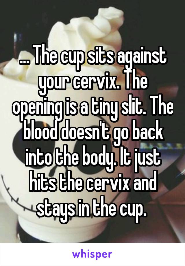 ... The cup sits against your cervix. The opening is a tiny slit. The blood doesn't go back into the body. It just hits the cervix and stays in the cup. 