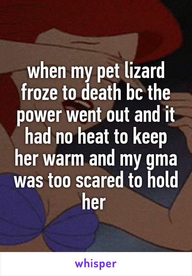 when my pet lizard froze to death bc the power went out and it had no heat to keep her warm and my gma was too scared to hold her 