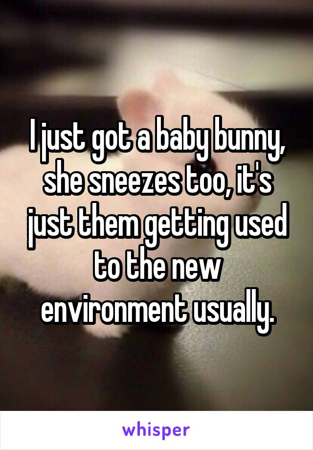 I just got a baby bunny, she sneezes too, it's just them getting used to the new environment usually.