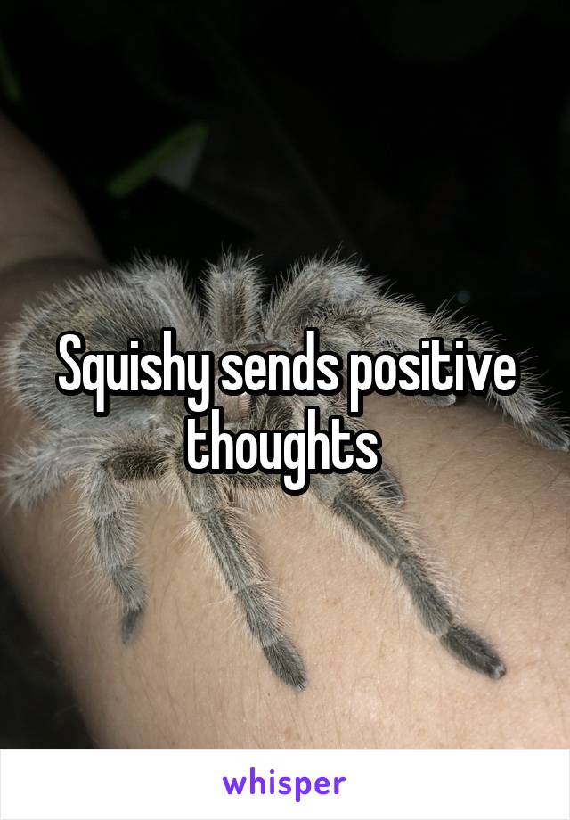 Squishy sends positive thoughts 