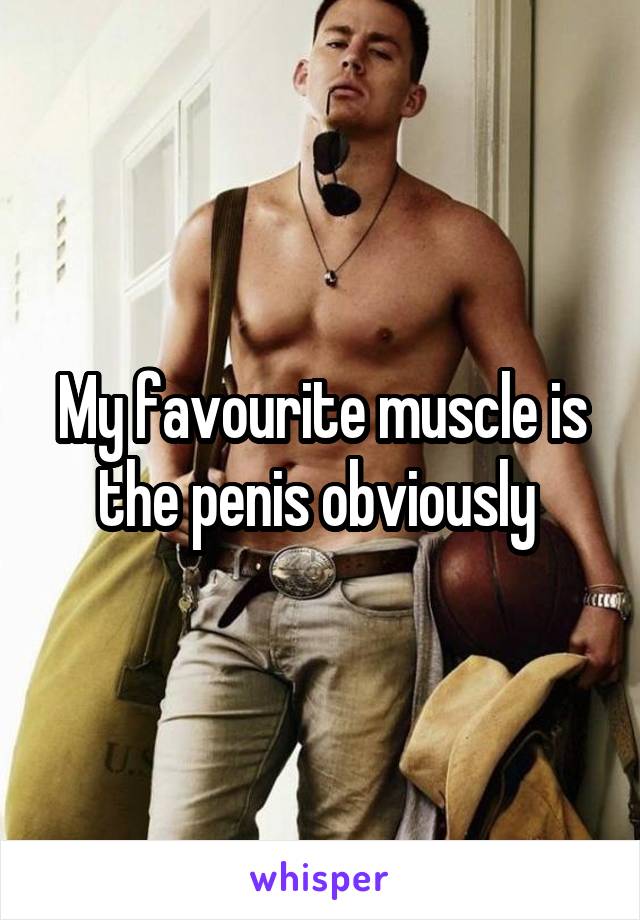 My favourite muscle is the penis obviously 