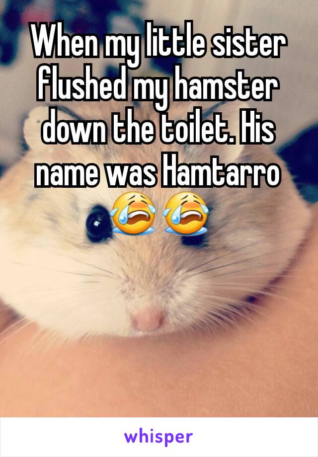 When my little sister flushed my hamster down the toilet. His name was Hamtarro 😭😭