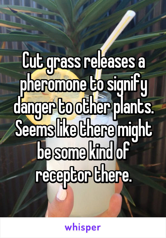 Cut grass releases a pheromone to signify danger to other plants. Seems like there might be some kind of receptor there.