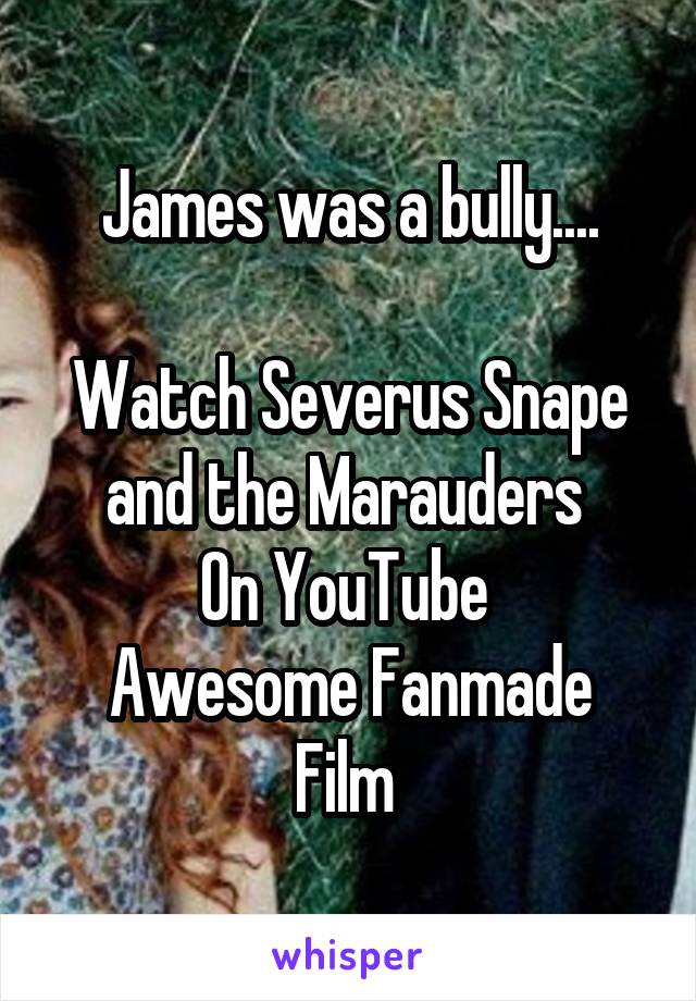 James was a bully....

Watch Severus Snape and the Marauders 
On YouTube 
Awesome Fanmade Film 