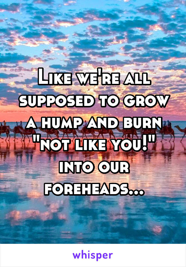 Like we're all supposed to grow a hump and burn "not like you!" into our foreheads...