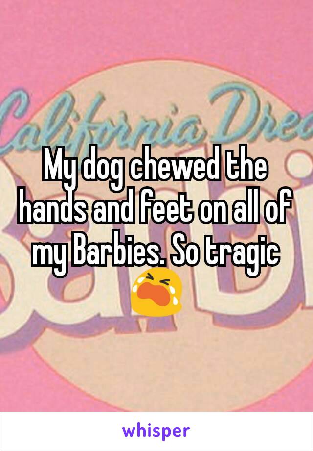 My dog chewed the hands and feet on all of my Barbies. So tragic 😭