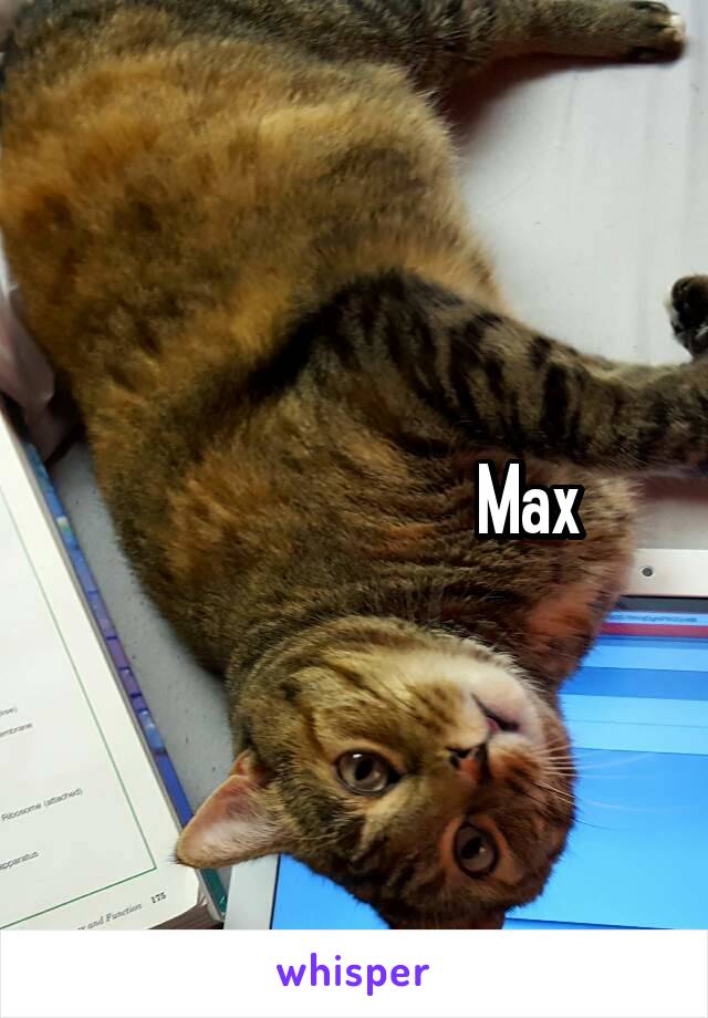                           Max