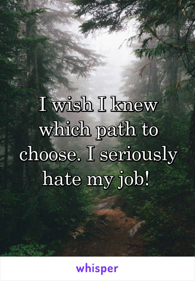 I wish I knew which path to choose. I seriously hate my job! 