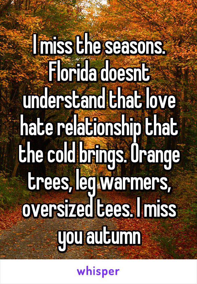 I miss the seasons. Florida doesnt understand that love hate relationship that the cold brings. Orange trees, leg warmers, oversized tees. I miss you autumn
