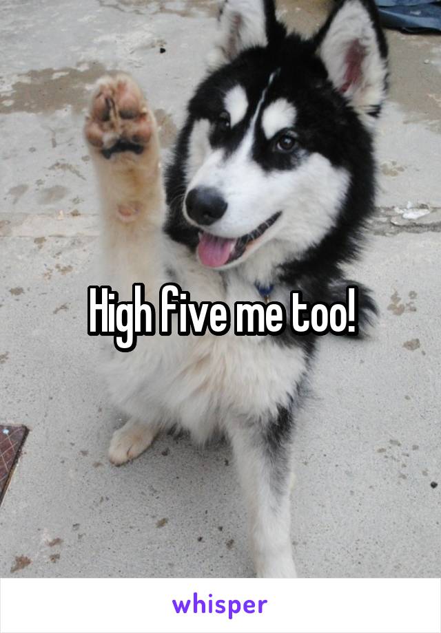 High five me too!