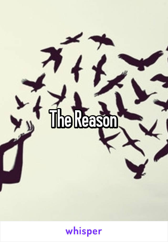 The Reason 
