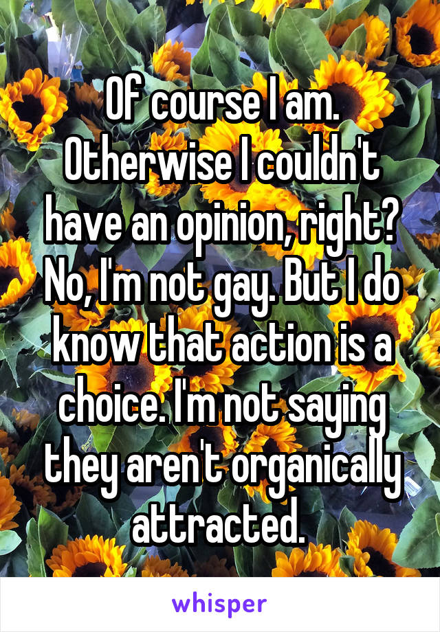 Of course I am. Otherwise I couldn't have an opinion, right? No, I'm not gay. But I do know that action is a choice. I'm not saying they aren't organically attracted. 