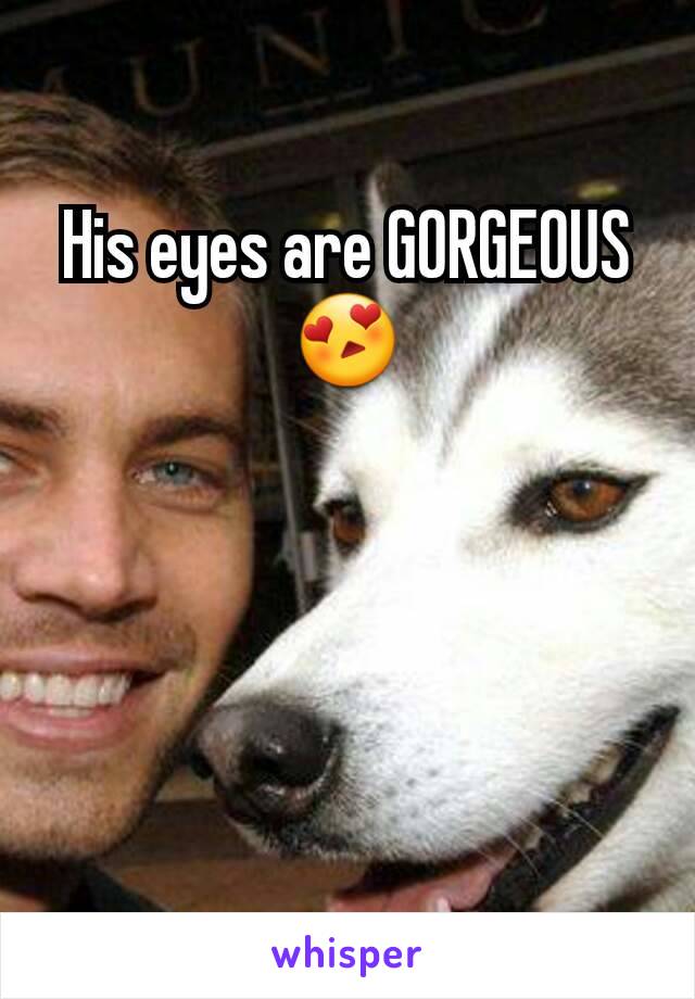 His eyes are GORGEOUS 😍