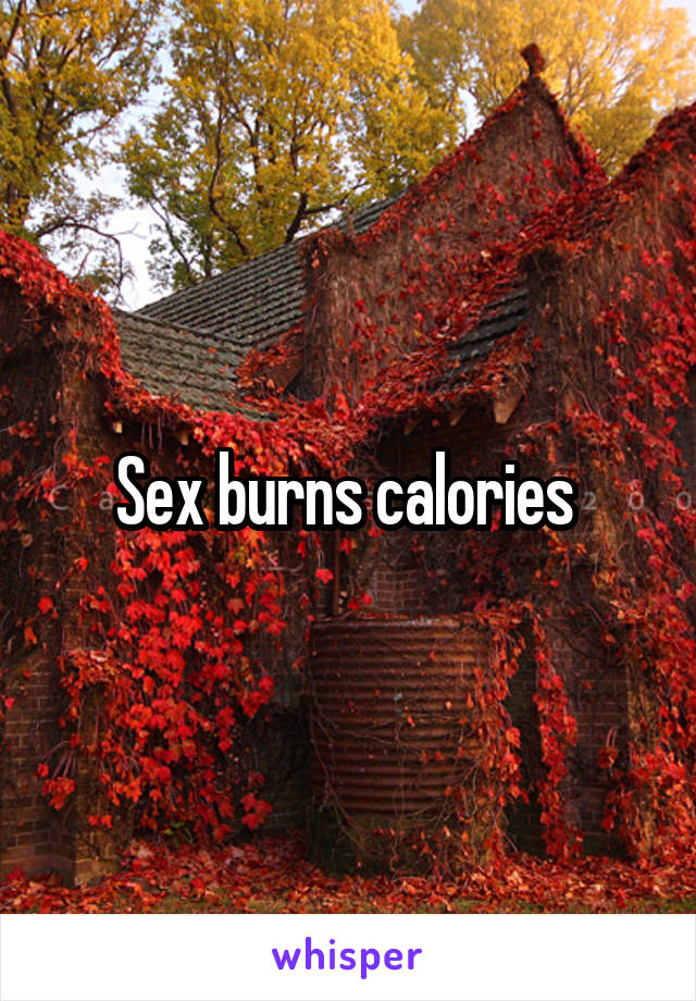Sex burns calories 