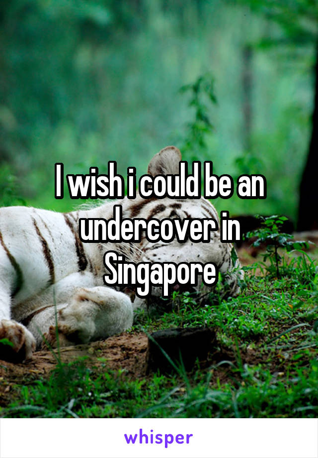 I wish i could be an undercover in Singapore