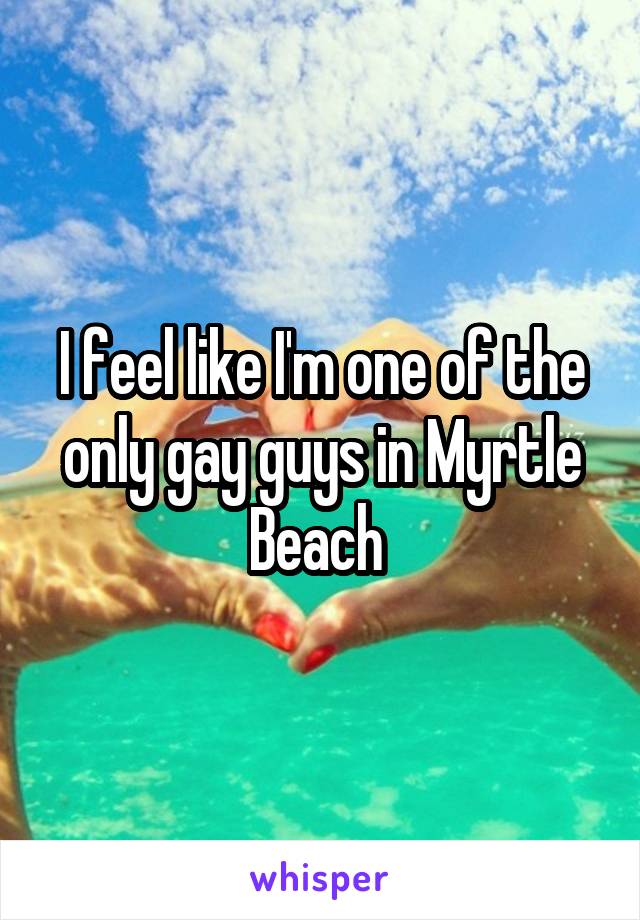 I feel like I'm one of the only gay guys in Myrtle Beach 