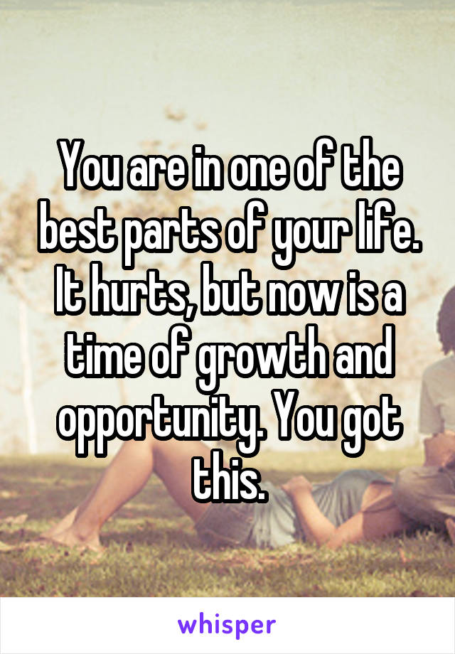 You are in one of the best parts of your life. It hurts, but now is a time of growth and opportunity. You got this.