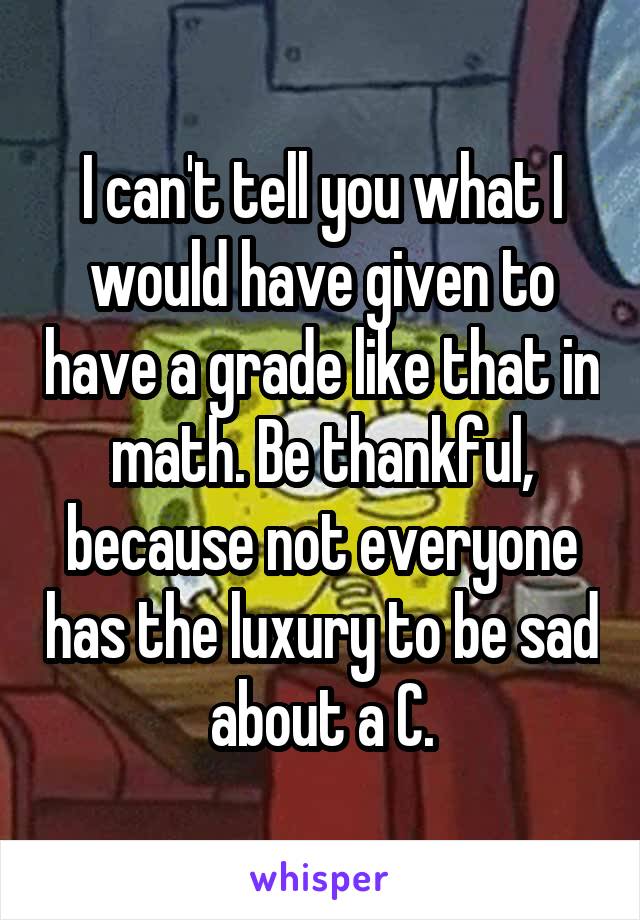 I can't tell you what I would have given to have a grade like that in math. Be thankful, because not everyone has the luxury to be sad about a C.