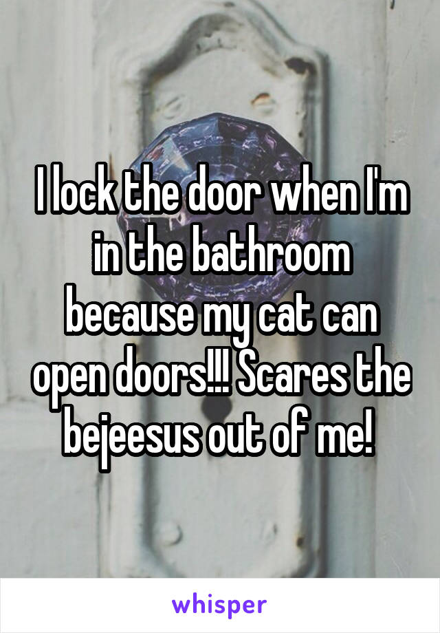 I lock the door when I'm in the bathroom because my cat can open doors!!! Scares the bejeesus out of me! 