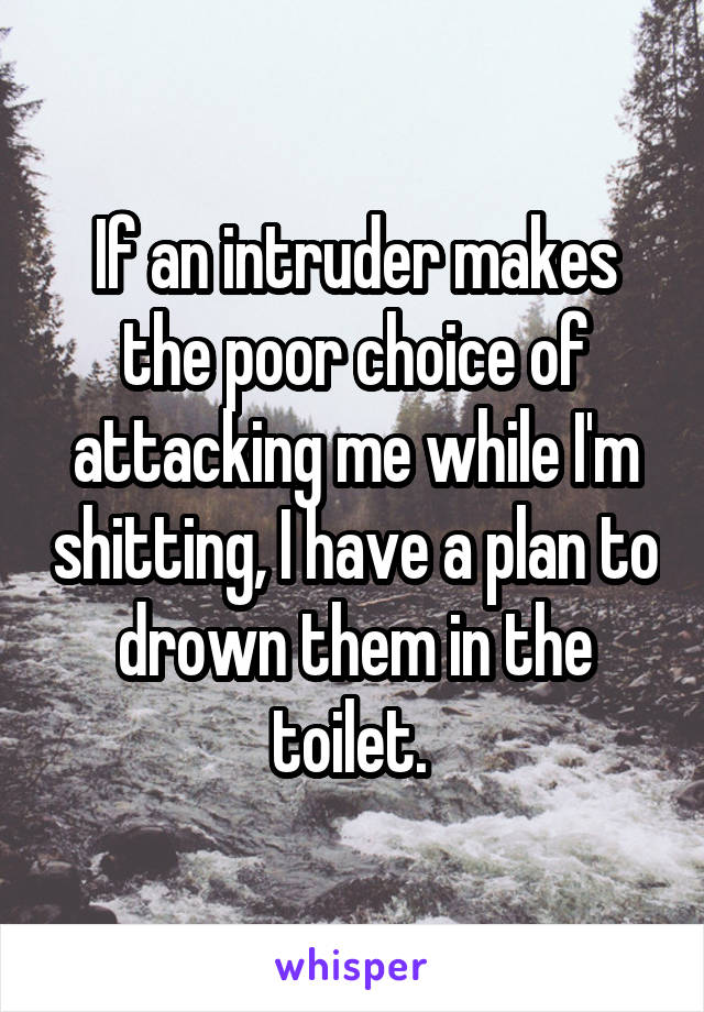 If an intruder makes the poor choice of attacking me while I'm shitting, I have a plan to drown them in the toilet. 