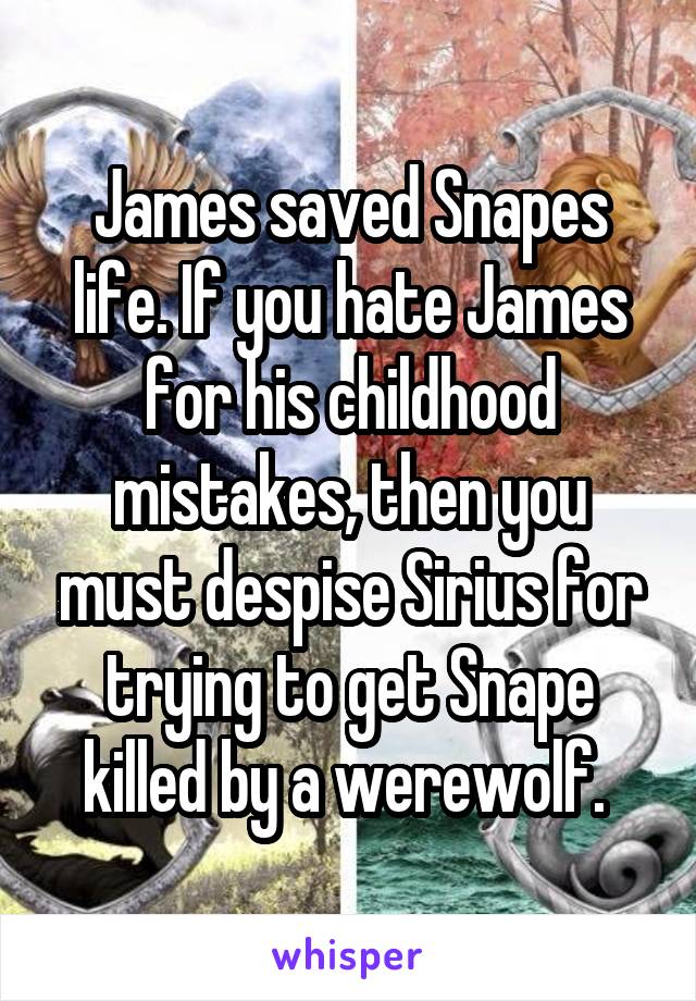 James saved Snapes life. If you hate James for his childhood mistakes, then you must despise Sirius for trying to get Snape killed by a werewolf. 