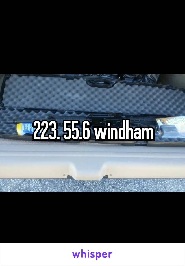 223. 55.6 windham