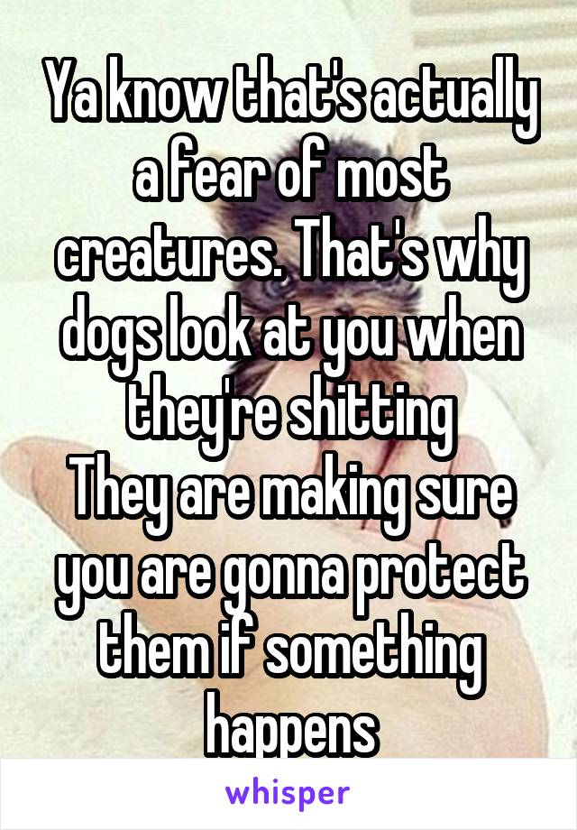 Ya know that's actually a fear of most creatures. That's why dogs look at you when they're shitting
They are making sure you are gonna protect them if something happens