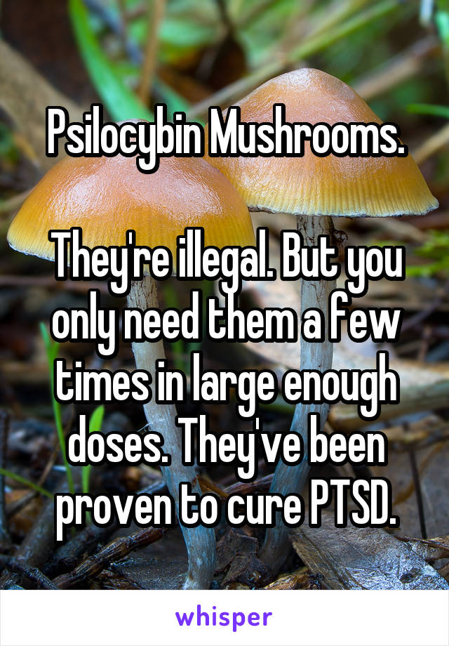 Psilocybin Mushrooms.

They're illegal. But you only need them a few times in large enough doses. They've been proven to cure PTSD.