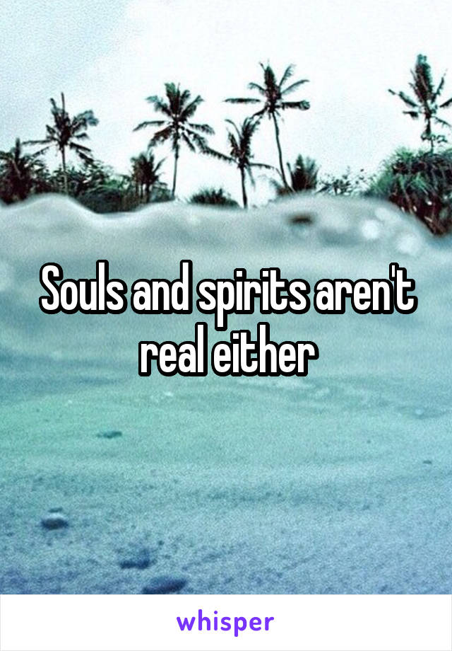 Souls and spirits aren't real either
