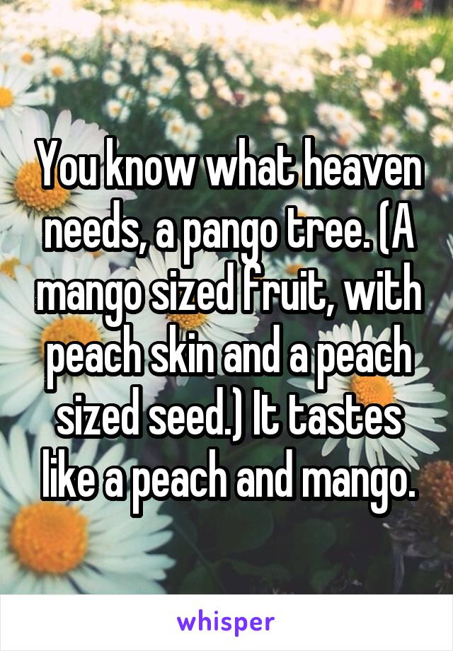 You know what heaven needs, a pango tree. (A mango sized fruit, with peach skin and a peach sized seed.) It tastes like a peach and mango.
