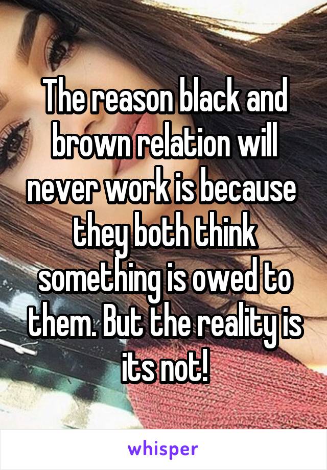 The reason black and brown relation will never work is because  they both think something is owed to them. But the reality is its not!