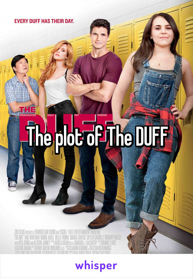 The plot of The DUFF