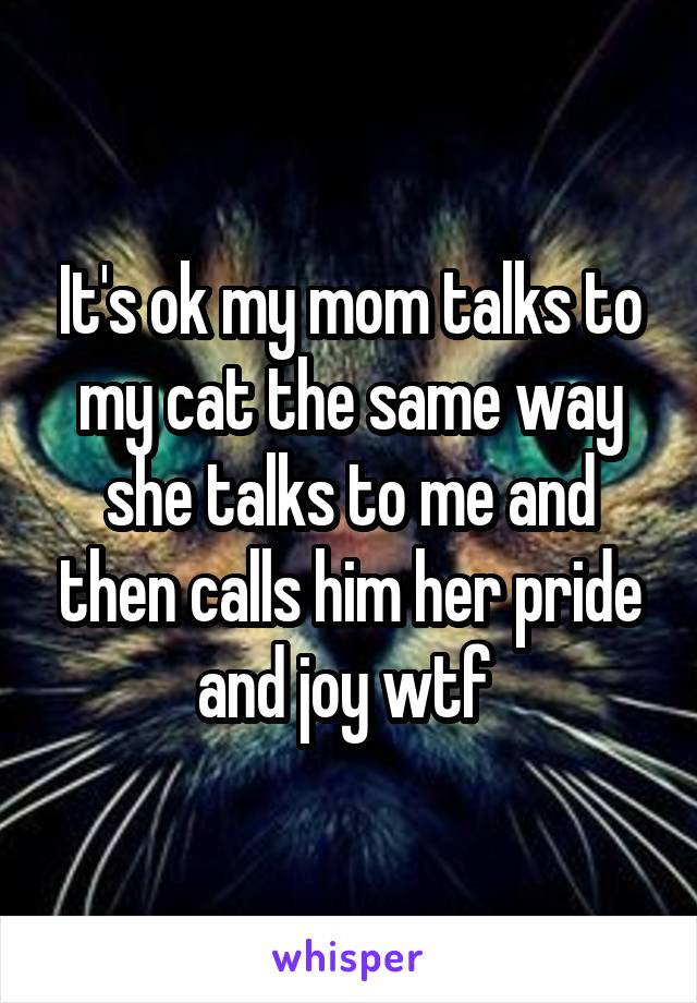 It's ok my mom talks to my cat the same way she talks to me and then calls him her pride and joy wtf 