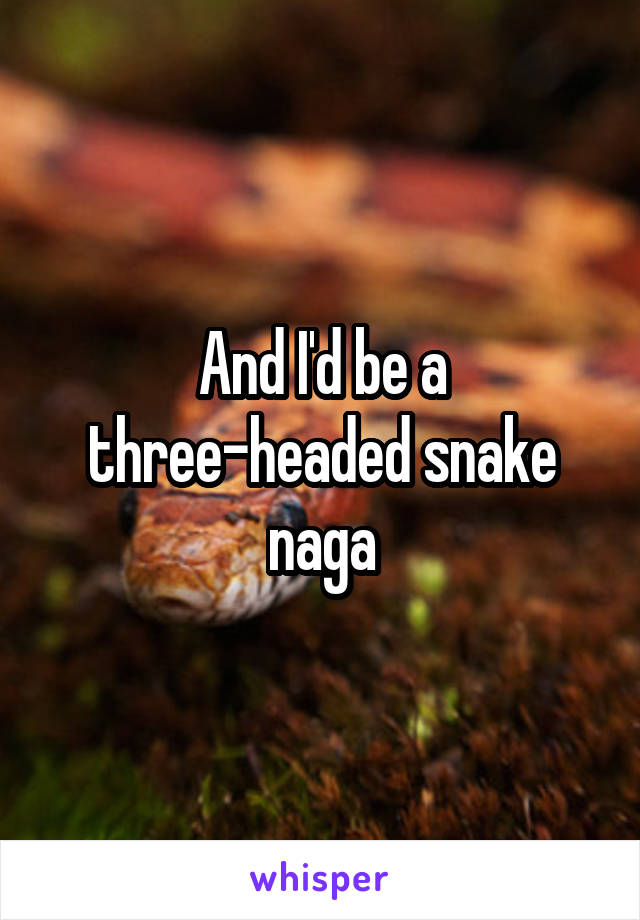 And I'd be a three-headed snake naga