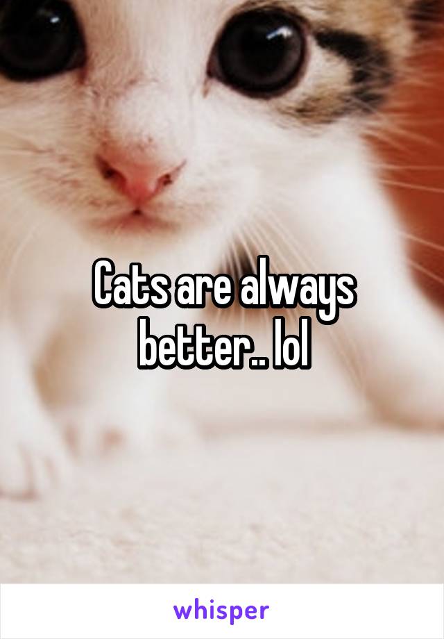 Cats are always better.. lol