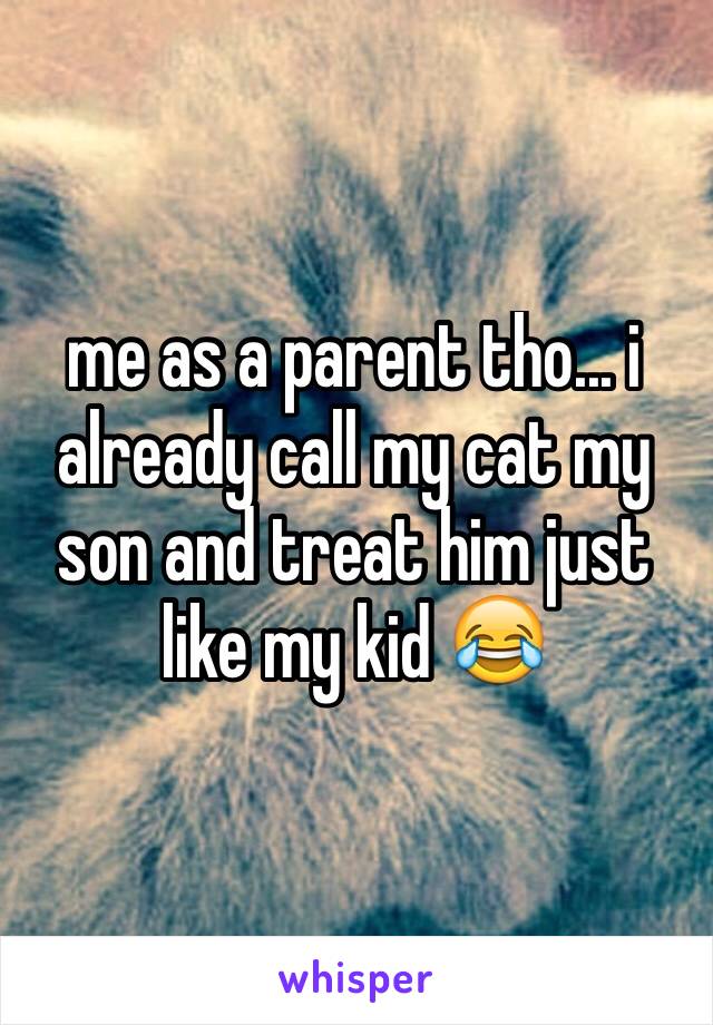 me as a parent tho... i already call my cat my son and treat him just like my kid 😂