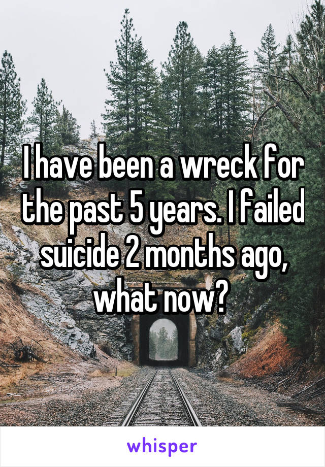 I have been a wreck for the past 5 years. I failed suicide 2 months ago, what now? 