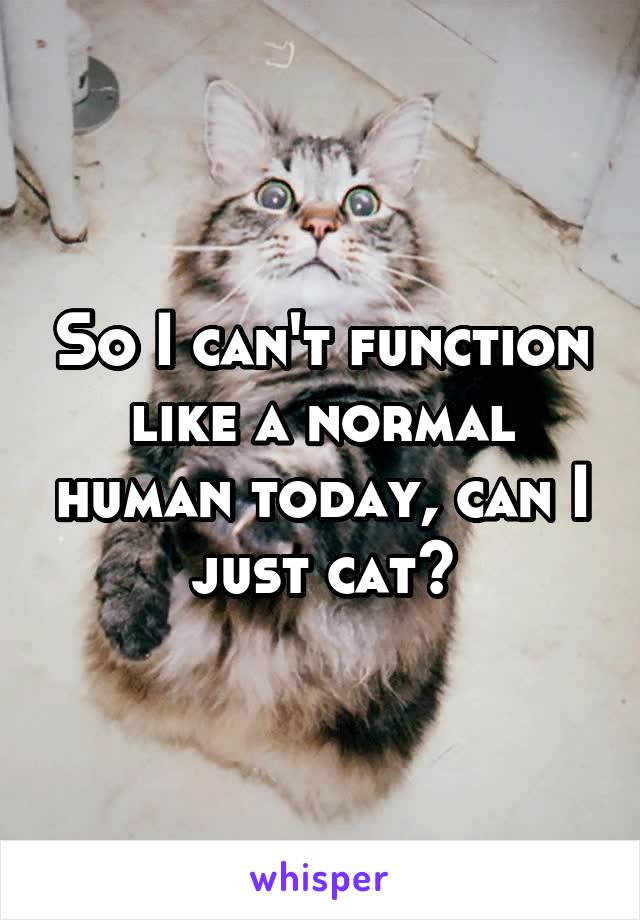 So I can't function like a normal human today, can I just cat?
