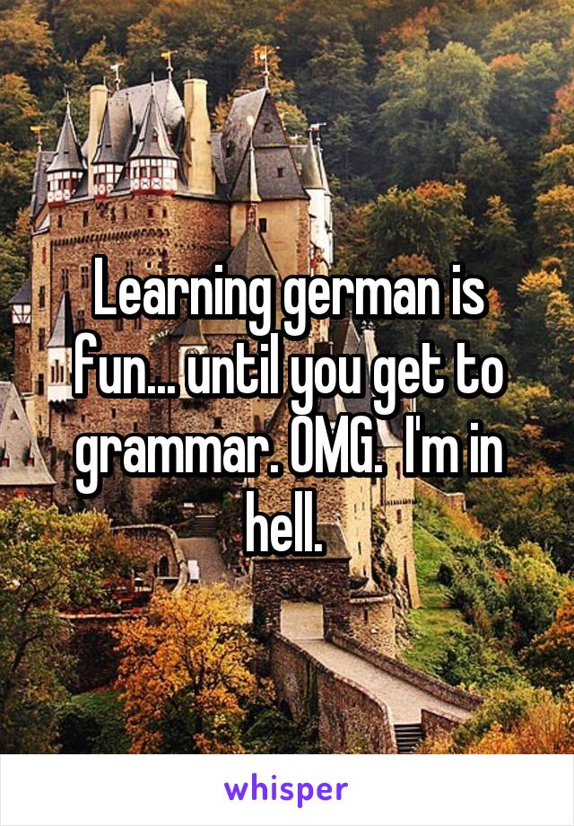 Learning german is fun... until you get to grammar. OMG.  I'm in hell. 