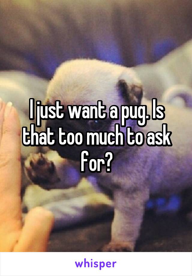 I just want a pug. Is that too much to ask for?